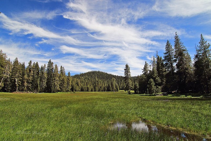 Henness Pass Road through Tahoe National Forest in Nevada County, California — Stone House Nevada City, historic 1857 wedding and private event venue