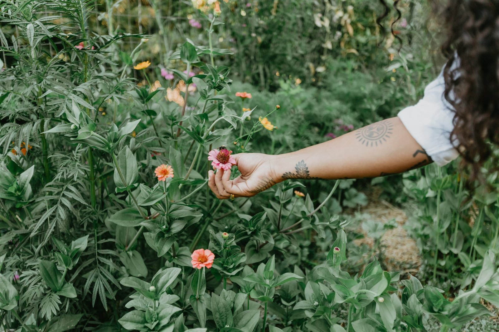 The Dirt on Stone House Farms: Stone House's Bold New Chapter
